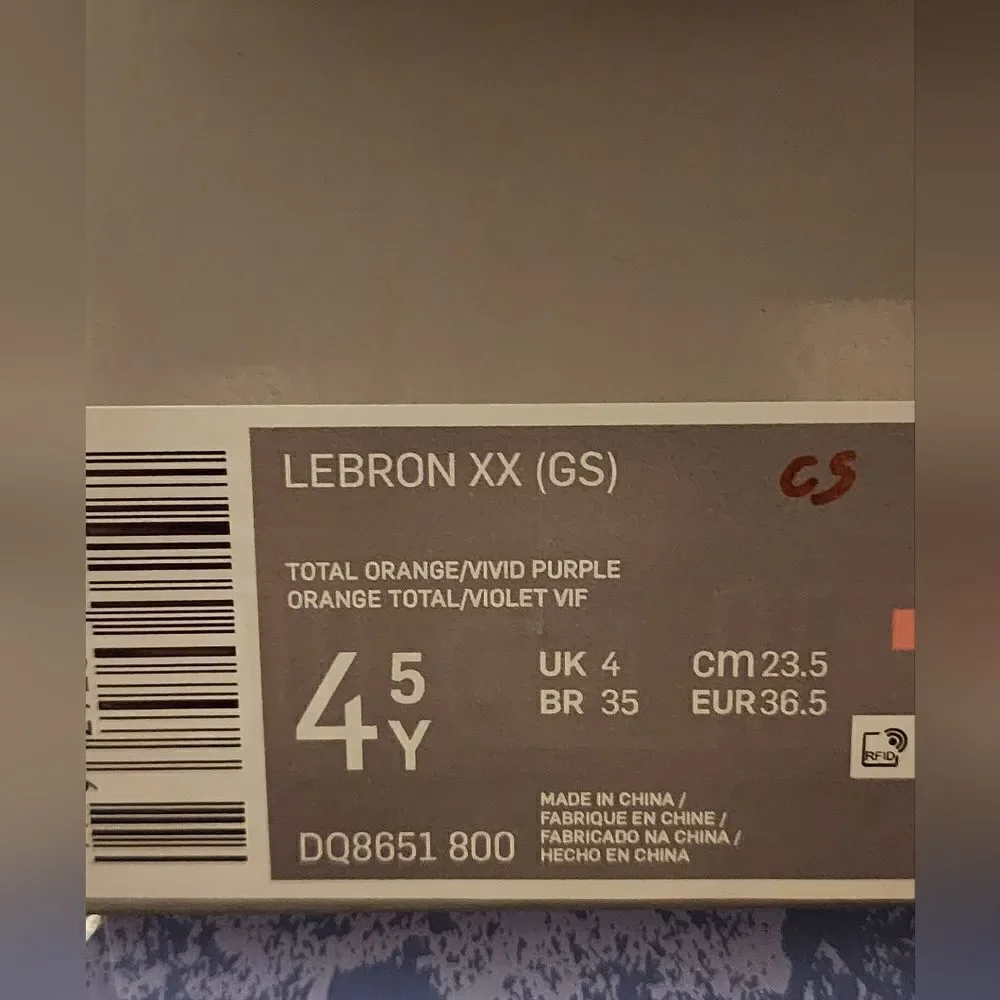 Nike LeBron 20 chosen one sneakers